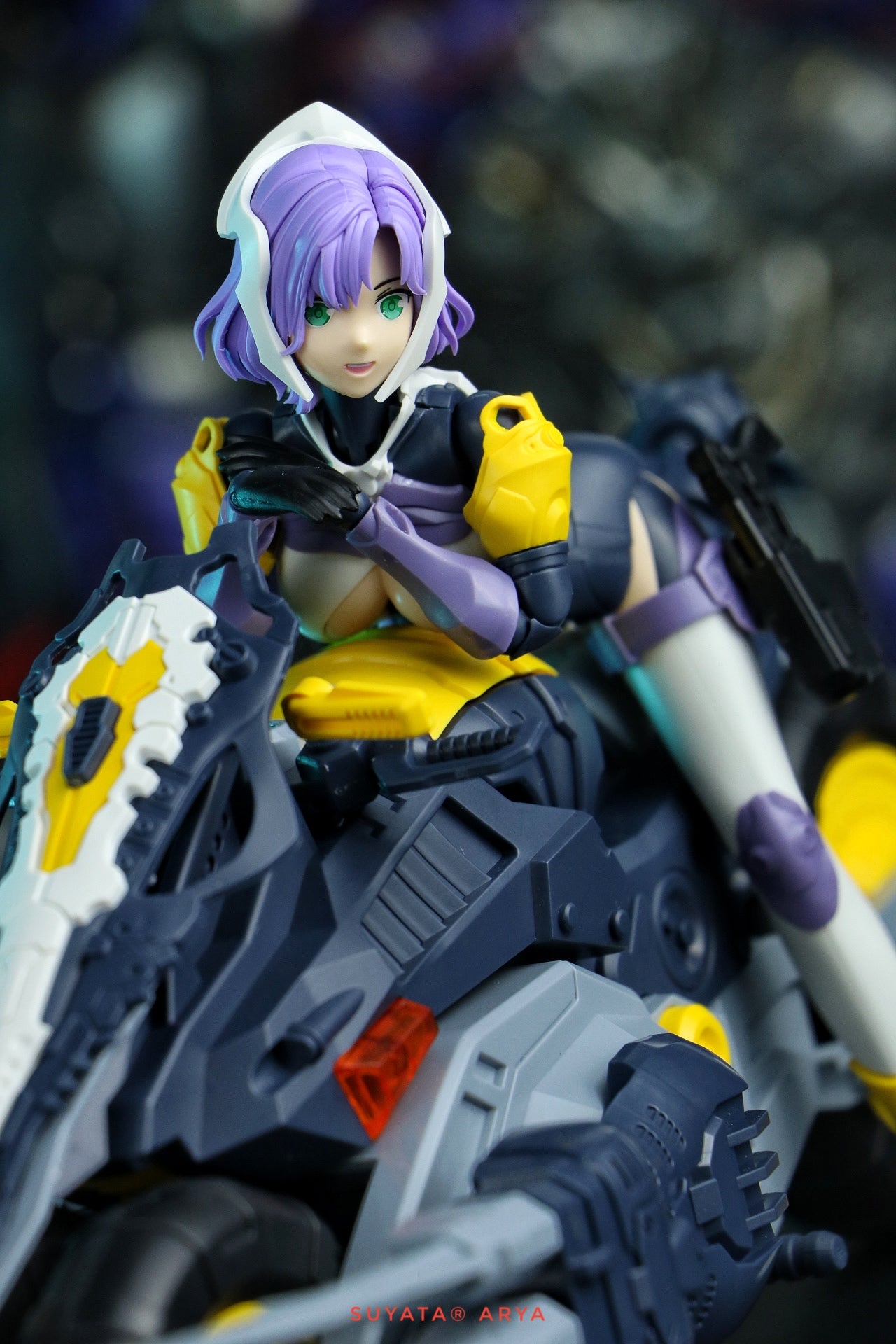 Suyata Arya The Hunter’s Poem Model Kit
