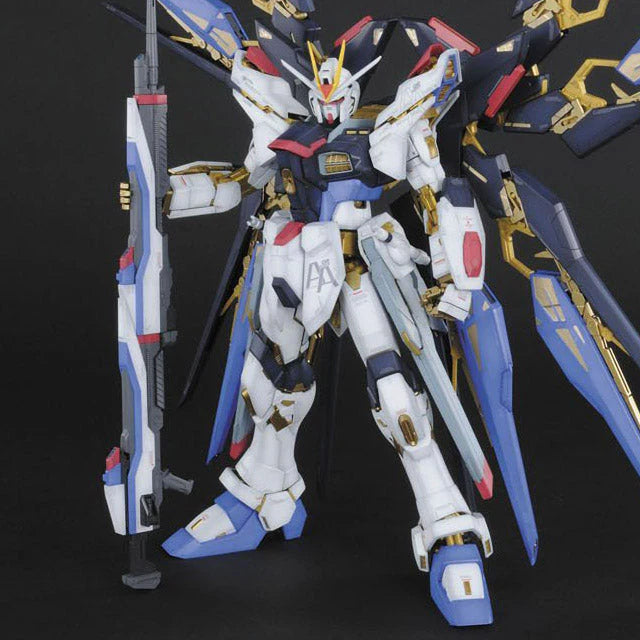PG ZGMF-X20A Strike Freedom Gundam 1/60