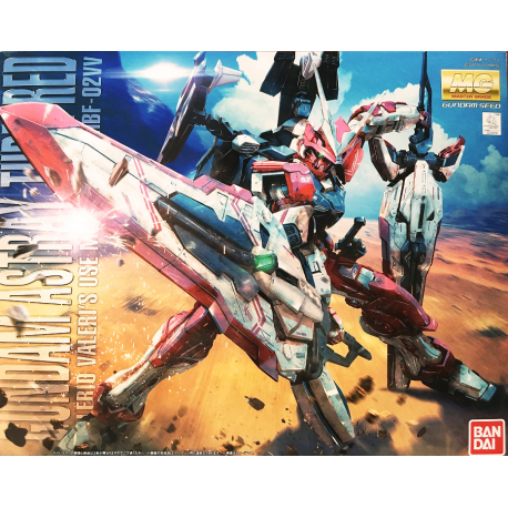 MG MBF-02VV Gundam Astray Turn Red