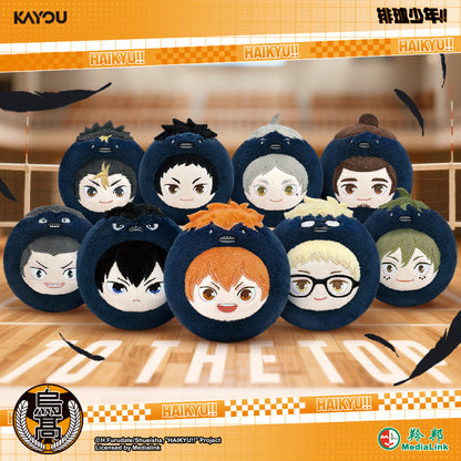 Haikyuu!! Plush Doll Keychain Blind Box KAYOU