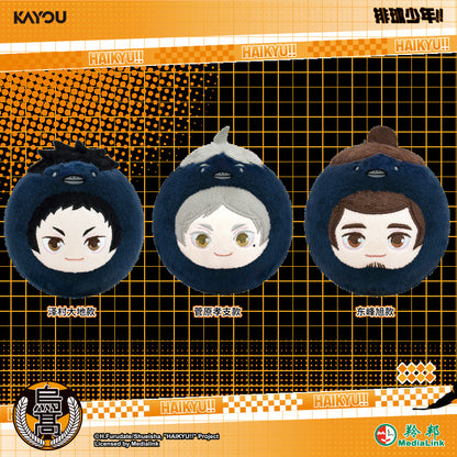 Haikyuu!! Plush Doll Keychain Blind Box KAYOU