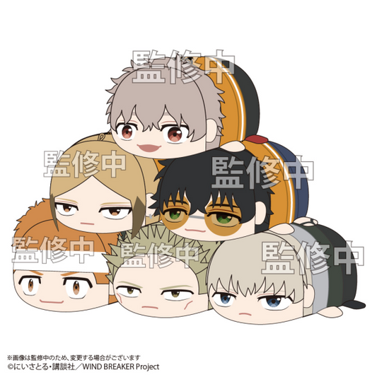WIND BREAKER POTE KORO MASCOT 2 MAX LIMITED