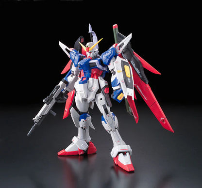 Gundam Decal Bandai GD 095 RG-11 ZGMF-X42S Destiny Gundam