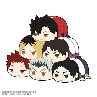Haikyu!! POTE KORO MASCOT 2 MAX LIMITED