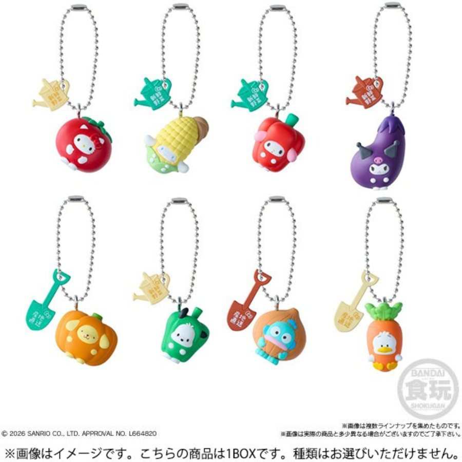 Sanrio Hellot Kitty and Friends Shokugan BOX WAVE 3 BANDAI Namco