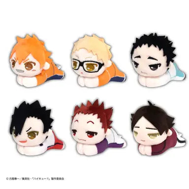 Haikyu!! HUG CHARACTER COLLECTION 5 MAX LIMITED