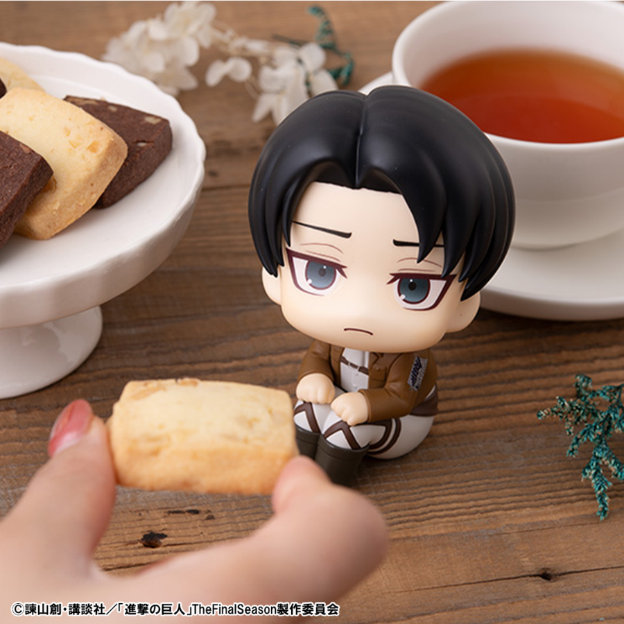 Attack on Titan Lookup Levi MEGAHOUSE