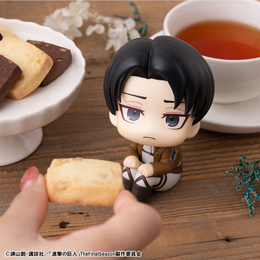 Attack on Titan Lookup Levi MEGAHOUSE