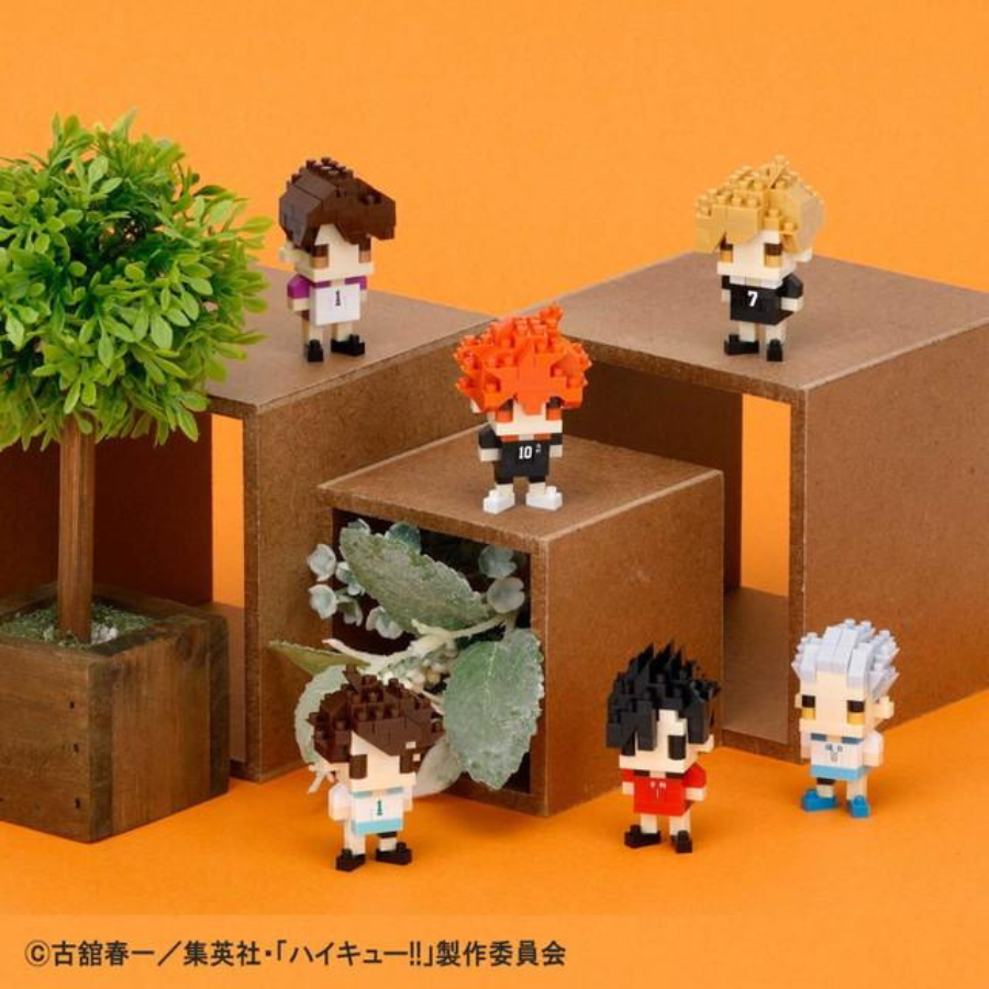 Haikyu!! Nanoblock Mininano Series Haikyu!! Assortment 1