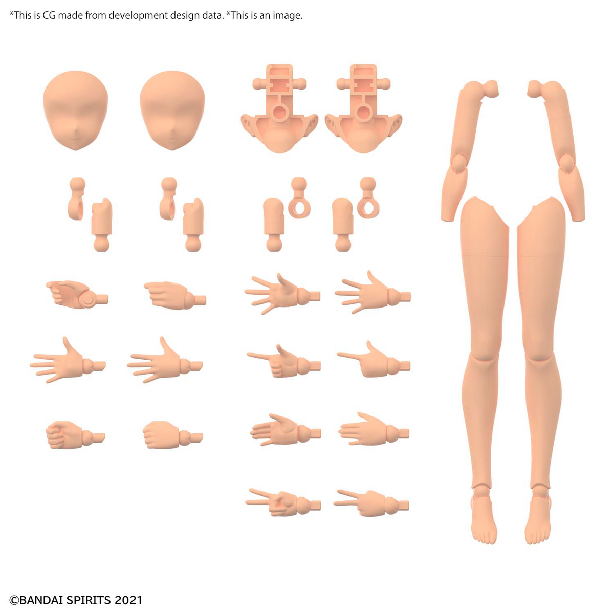 30MS OB-11 Option Body Parts Arm Parts & Leg Parts (Color C)
