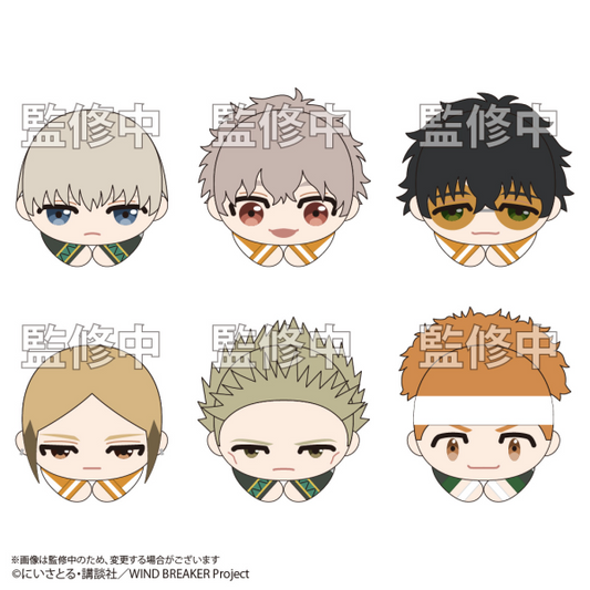 WIND BREAKER HUG CHARACTER COLLECTION 2 MAX LIMITED