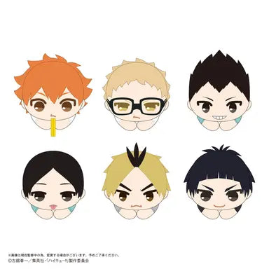 Haikyu!! HUG CHARACTER COLLECTION 9 MAX LIMITED