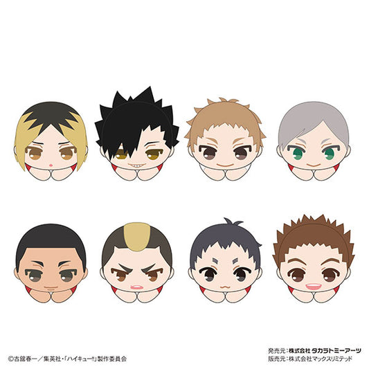 Haikyu!! Hug Character Collection 8 Key Chain MAX LIMITED