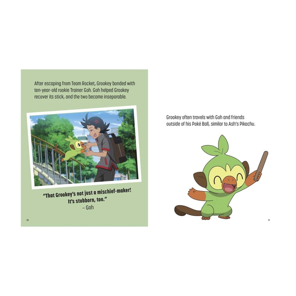 Pokémon: Trainer's Mini Exploration Guide to Galar book