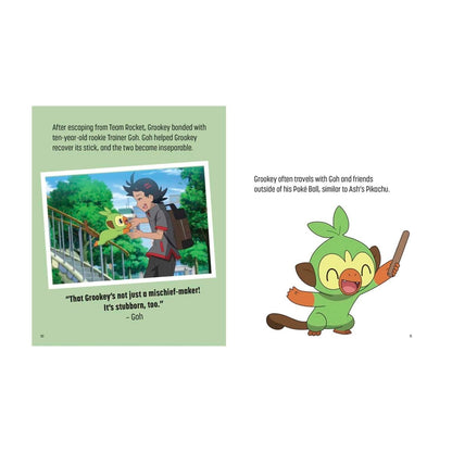 Pokémon: Trainer's Mini Exploration Guide to Galar book