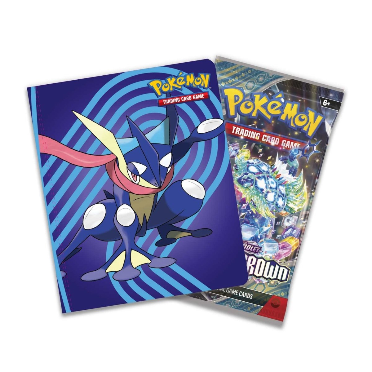 Pokémon TCG: Mini Portfolio (Fall 2024)