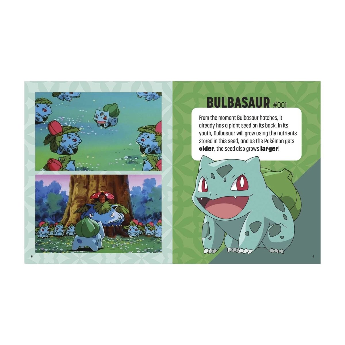 Pokémon: Trainer's Mini Exploration Guide to Kanto Book