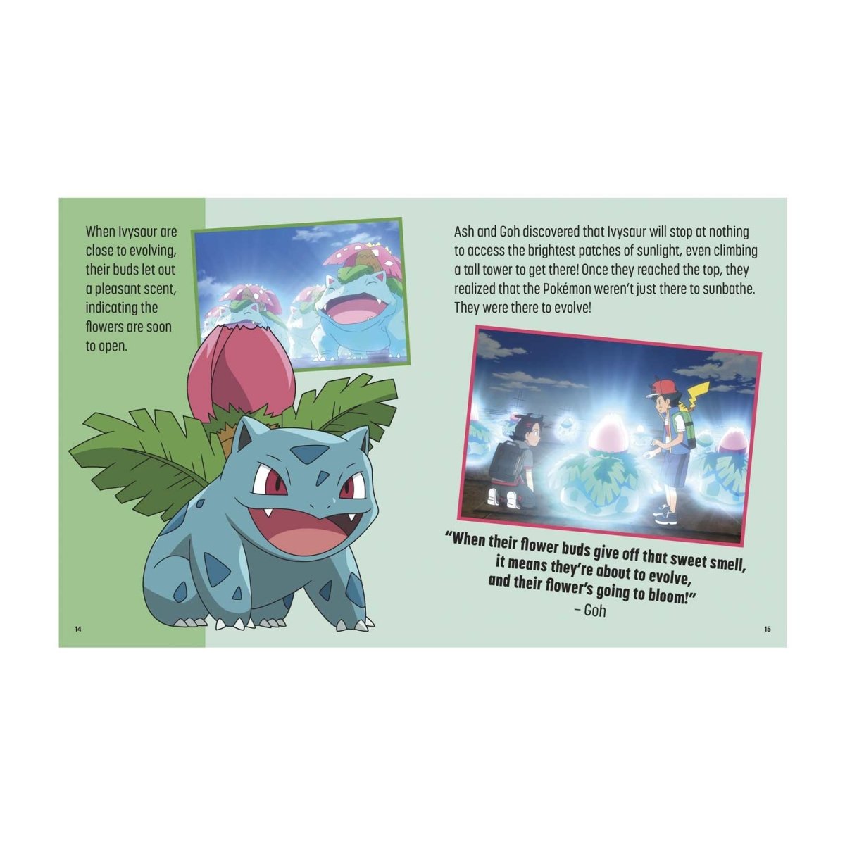 Pokémon: Trainer's Mini Exploration Guide to Kanto Book