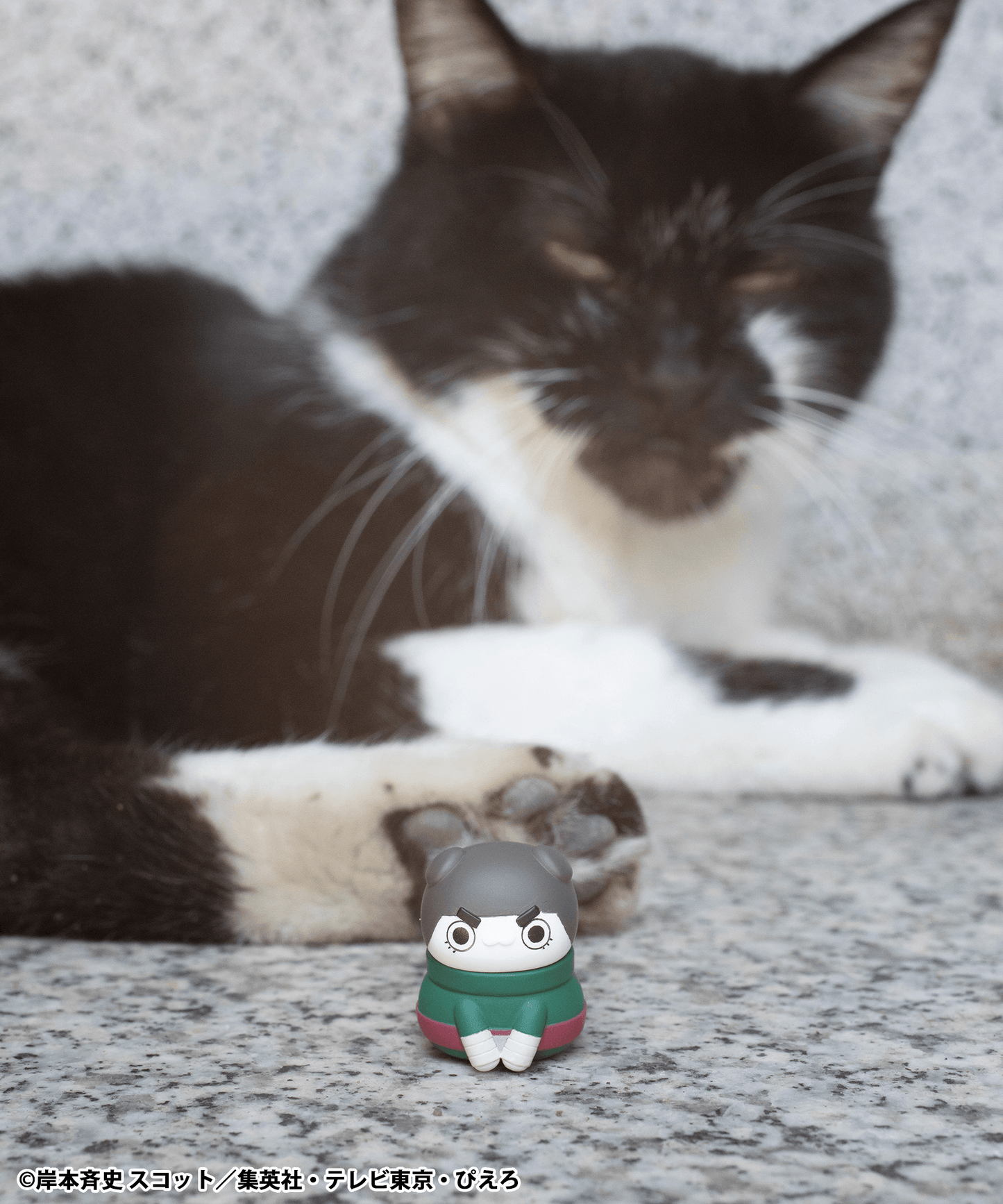 NARUTO-NYARUTO! MEGA CAT PROJECT Come here Sasuke-kun~ MEGAHOUSE