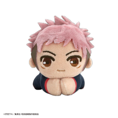 Jujutsu Kaisen HUG CHARACTER COLLECTION MAX LIMITED