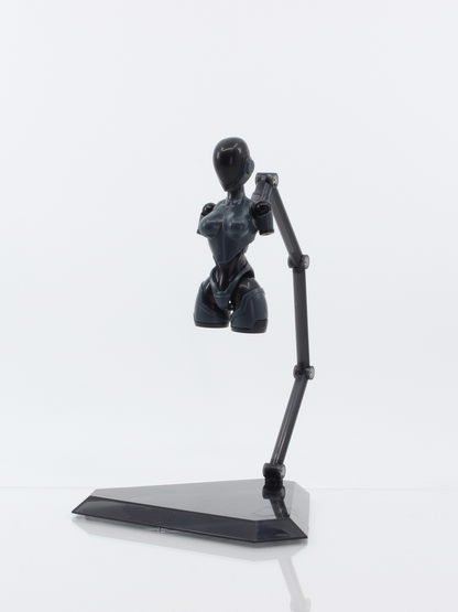Animacircuit 1/12 scale assembly plastic model Animacircuit Vio the Rabbit ROCA