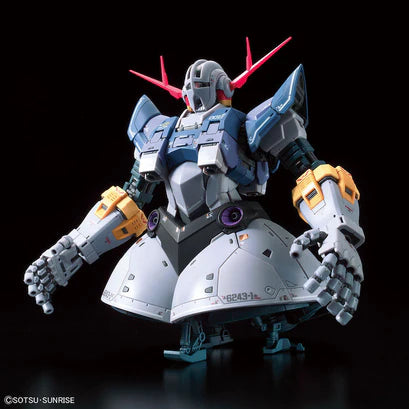 Gundam Decal Bandai GD 131 RG-34 MSN-02 Zeong