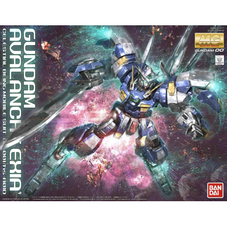 MG GN-001/hs-A01D Gundam Avalanche Exia