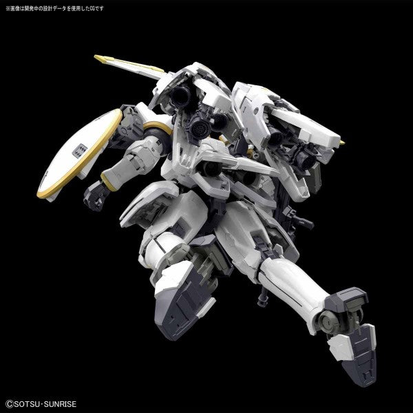 RG 28 OZ-00MS Tallgeese EW